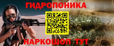 прущие грибы Бердск